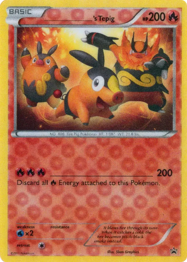 _____'s Tepig