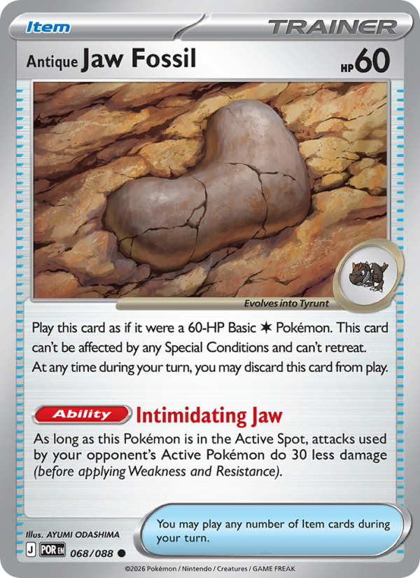 Antique Jaw Fossil