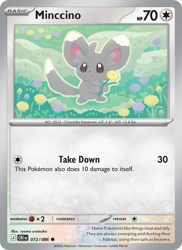 Minccino