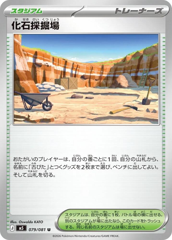 Fossil Excavation Site