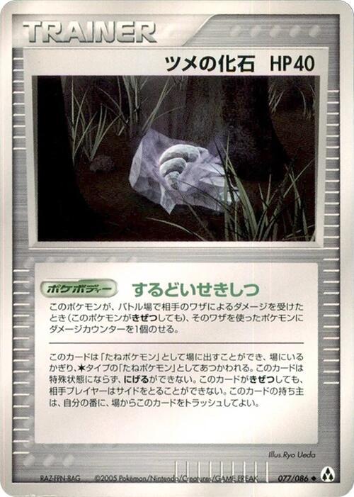 爪の化石