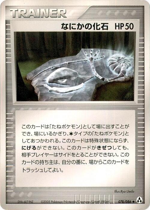神秘的な化石
