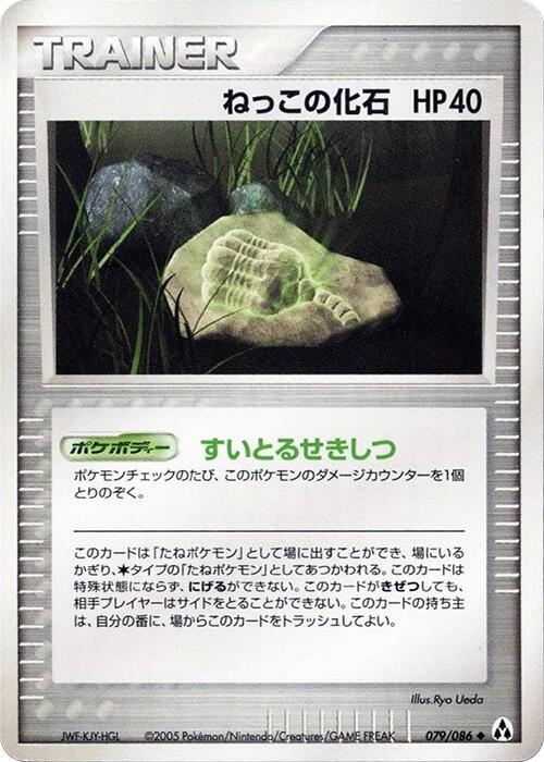 根の化石