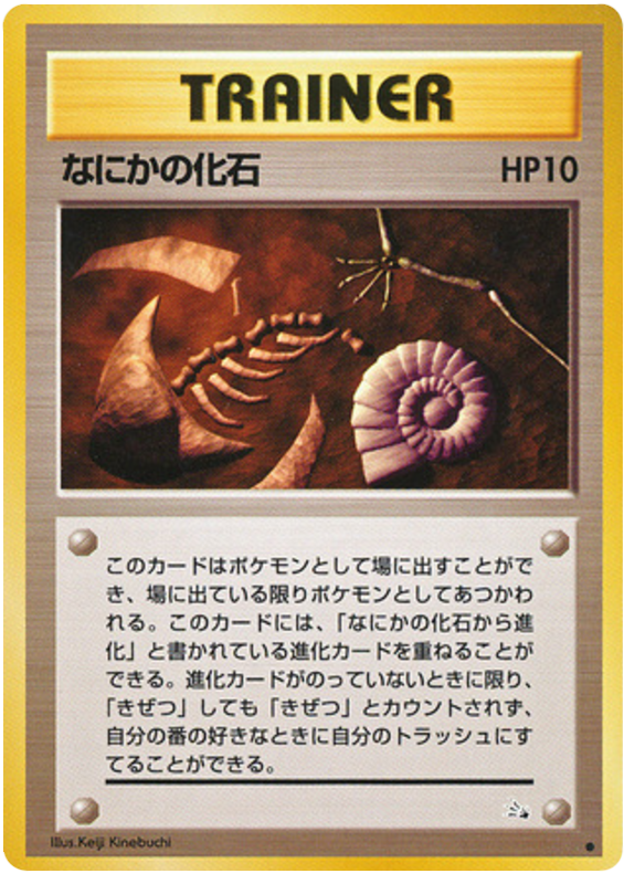 神秘的な化石