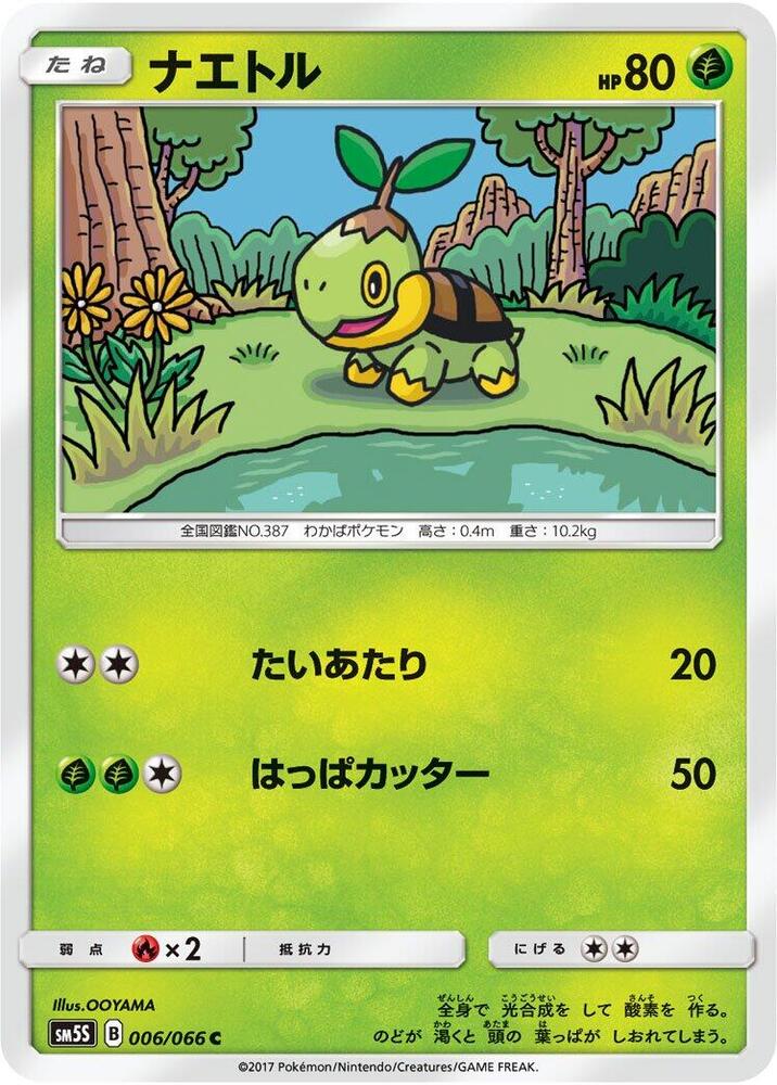 Turtwig