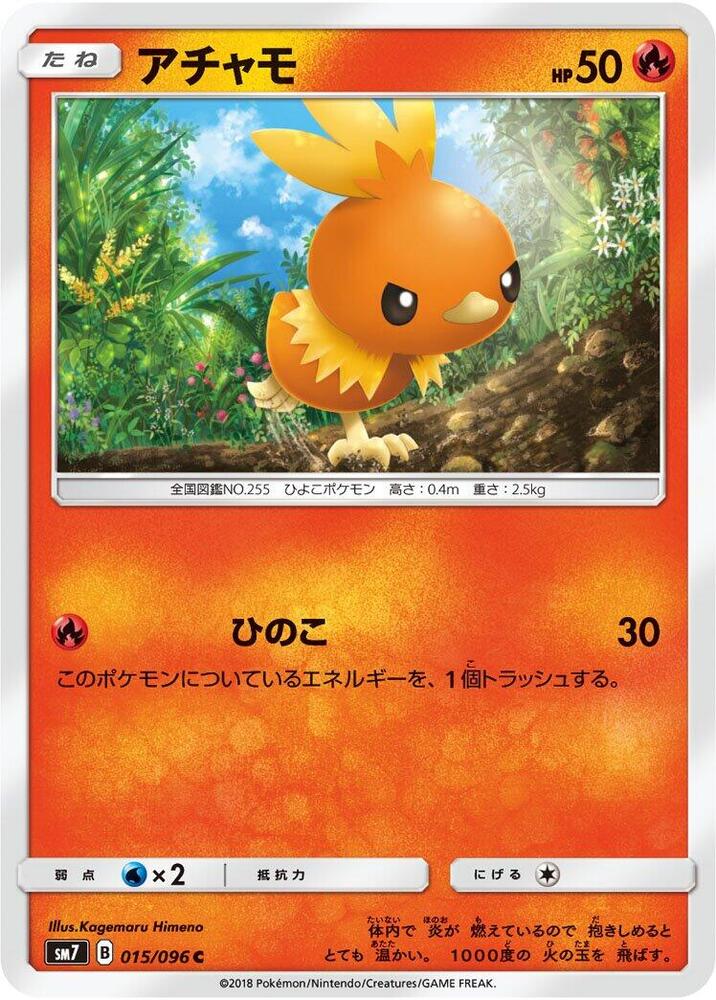 Torchic