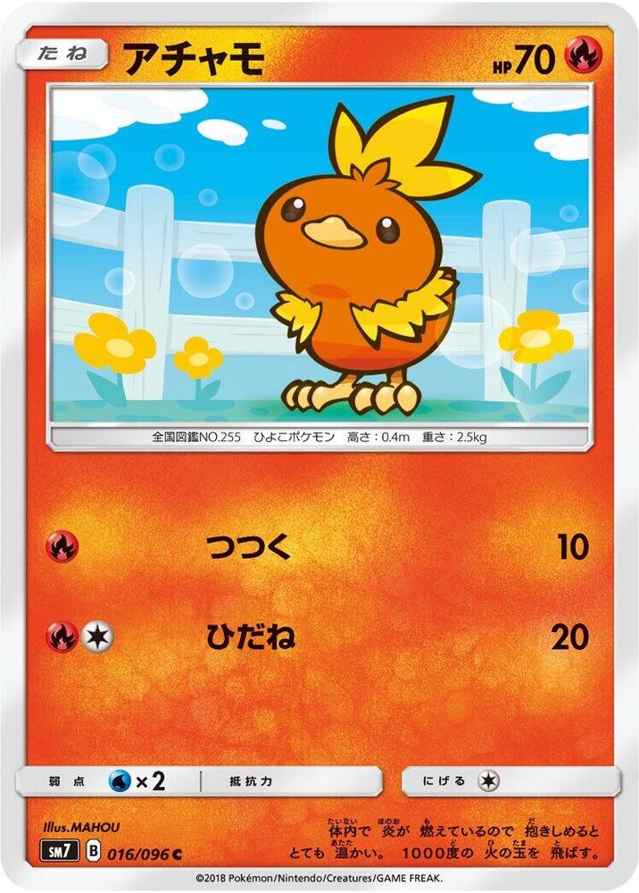 Torchic