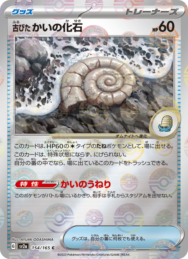 Antique Helix Fossil