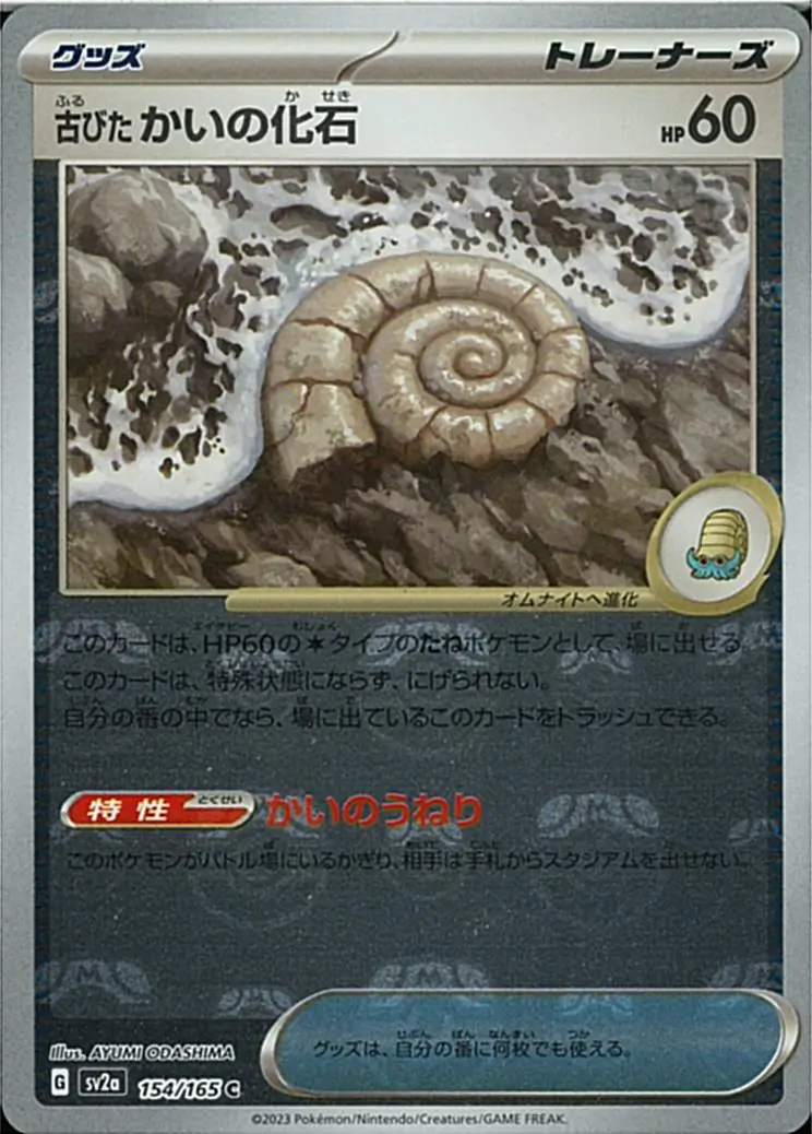 Antique Helix Fossil