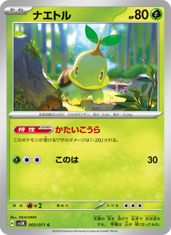 Turtwig