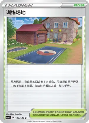 Training Court