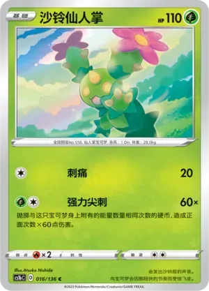 Maractus