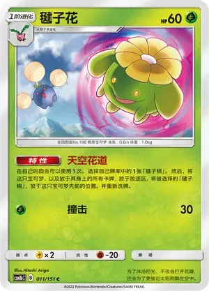 Skiploom