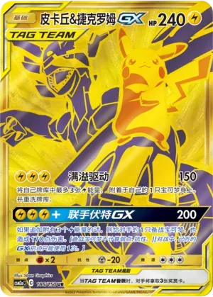 Pikachu & Zekrom Tag Team