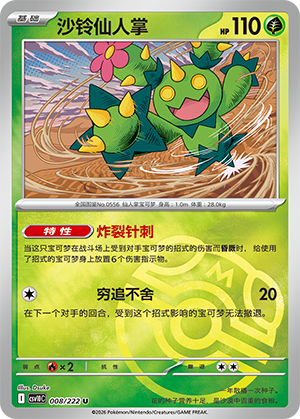 Maractus