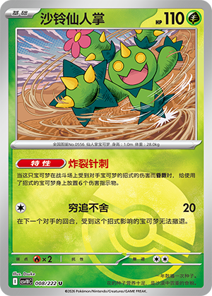 Maractus