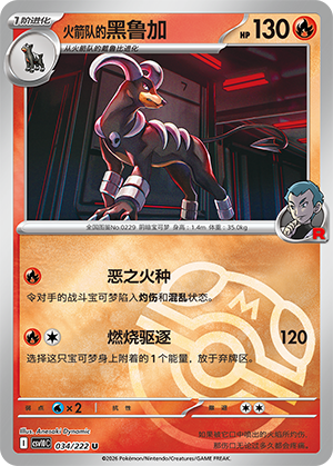 Team Rocket's Houndoom