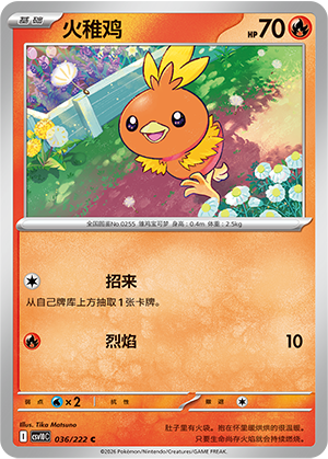 Torchic