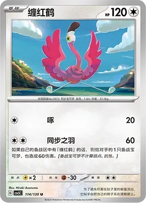 Flamingo