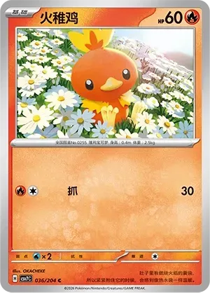 Torchic