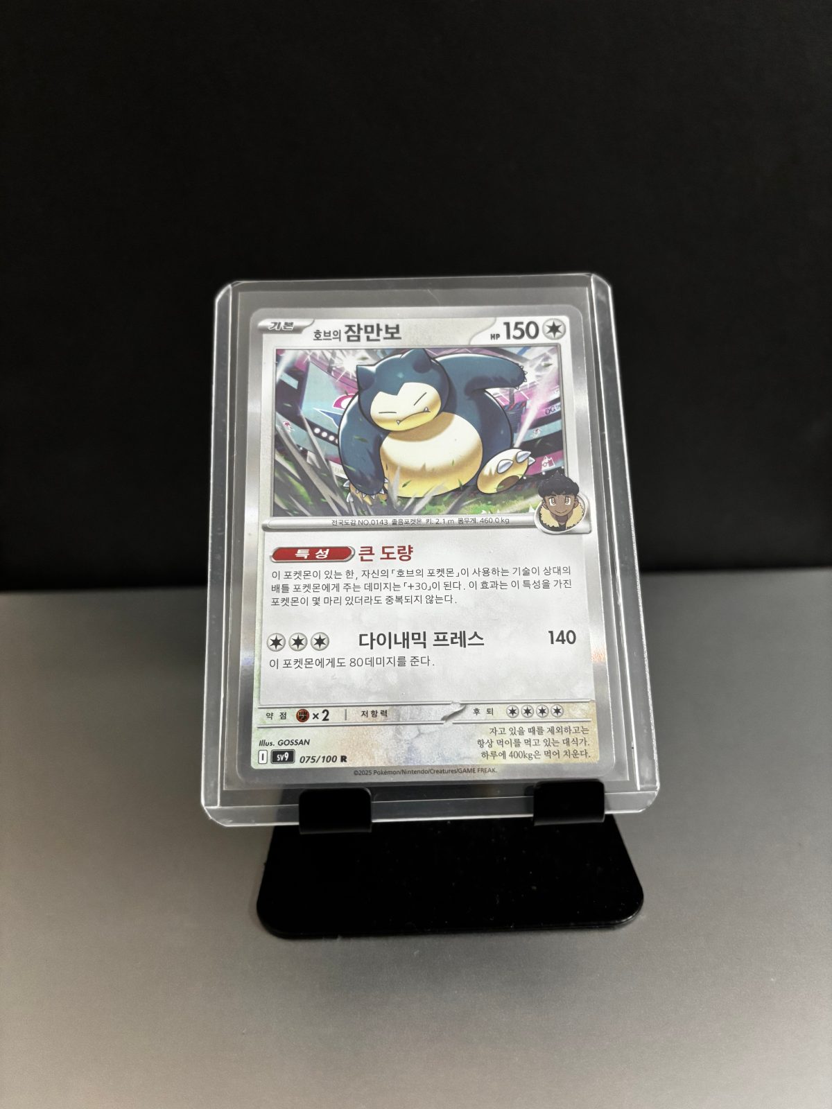 Hop's Snorlax