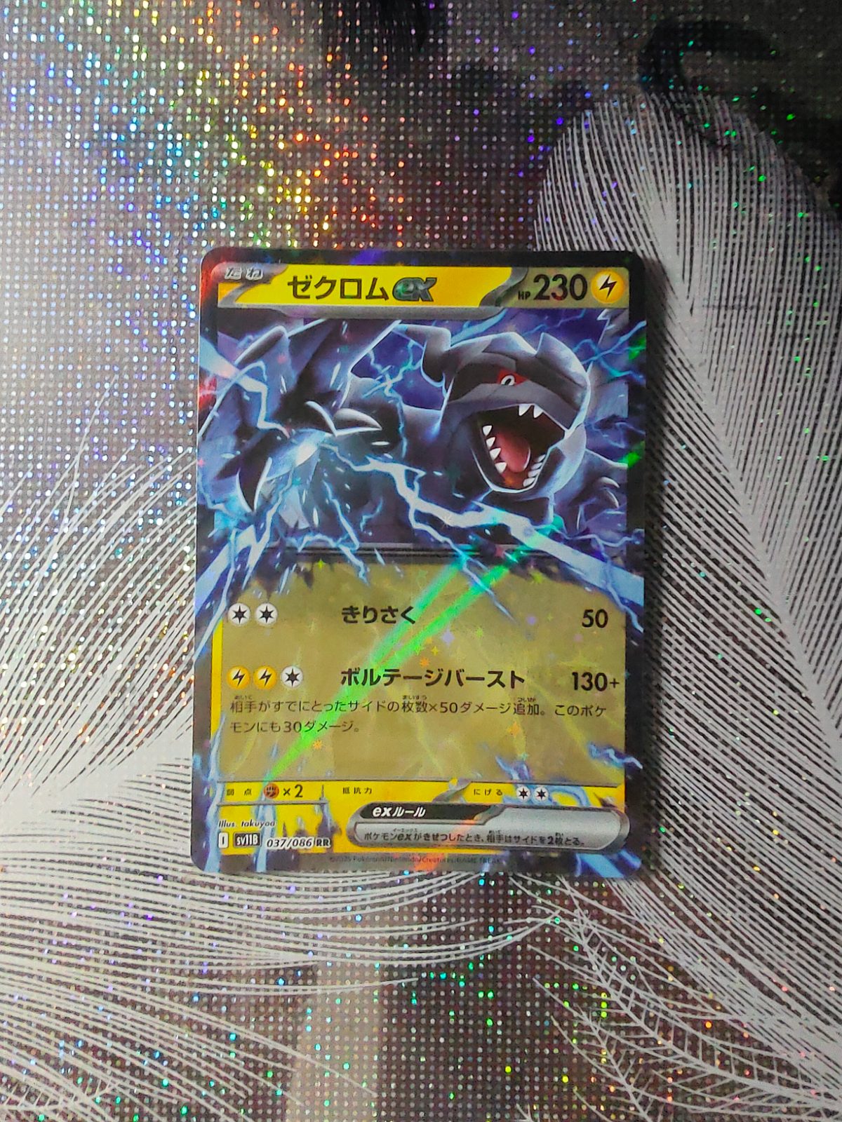 Zekrom ex