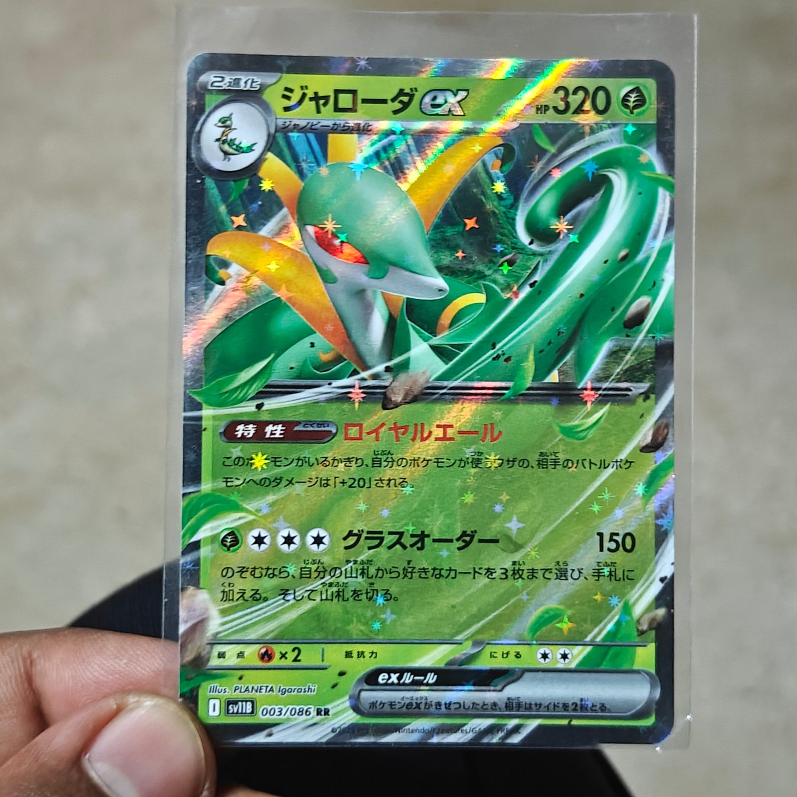 Serperior ex