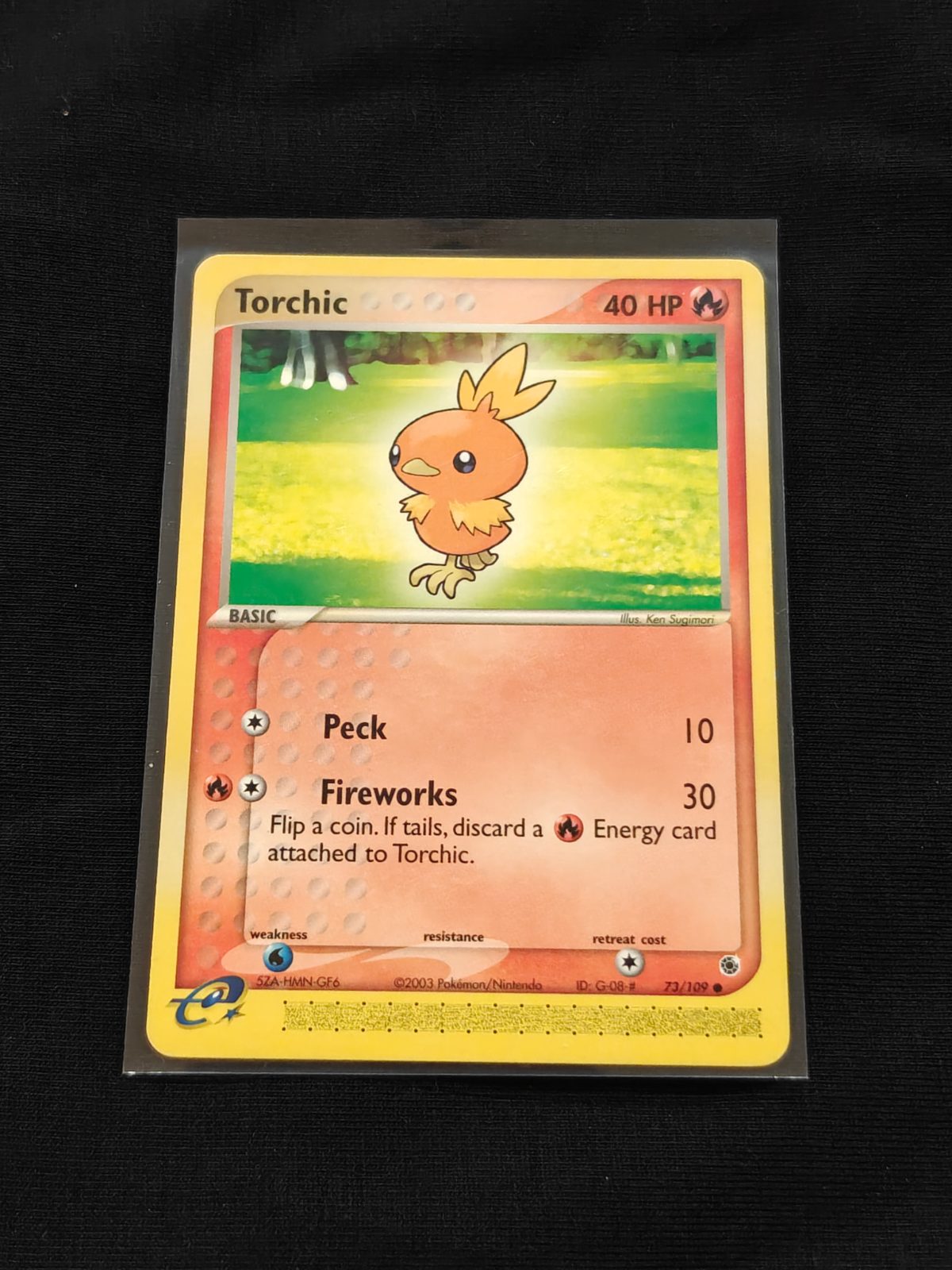Torchic #73