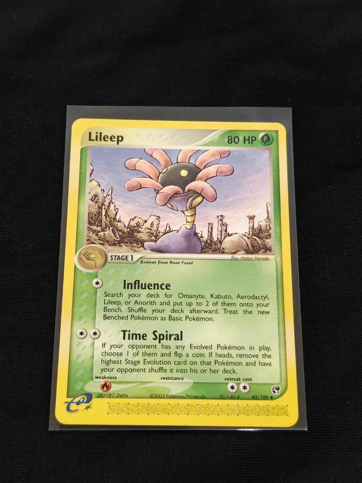 Lileep