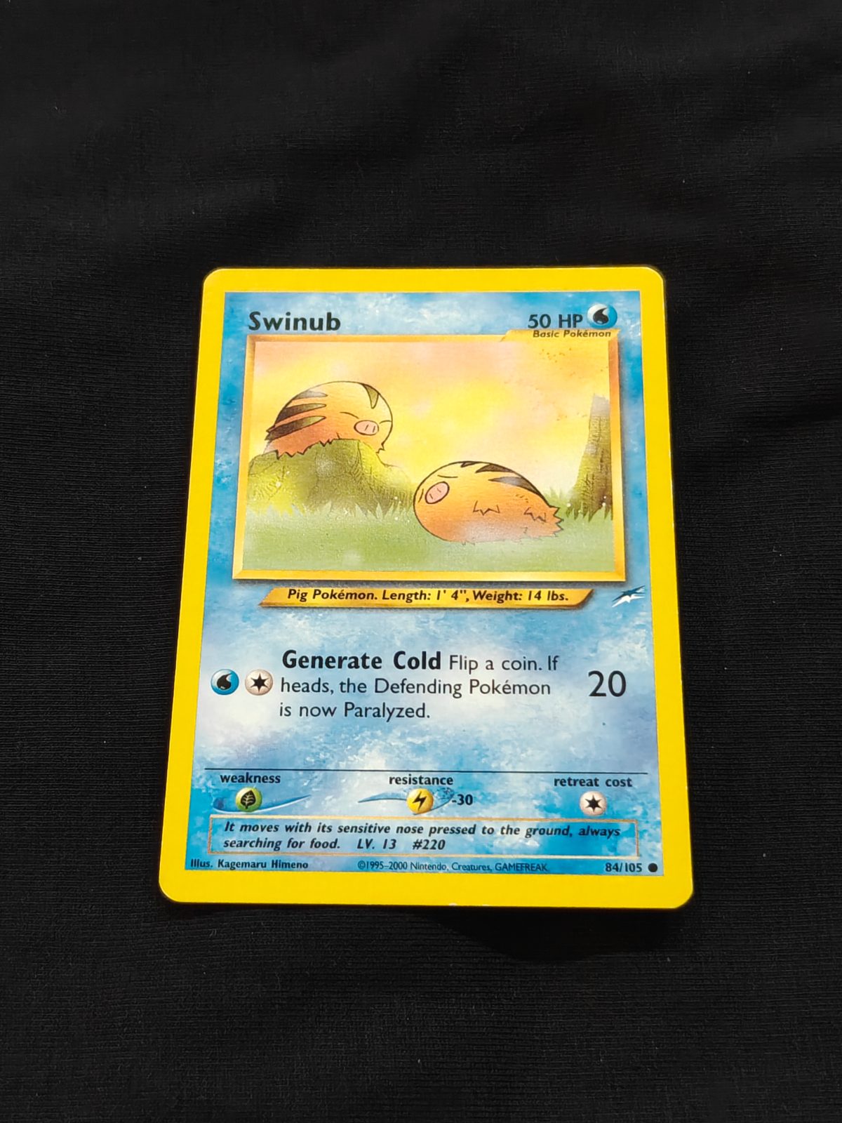 Swinub