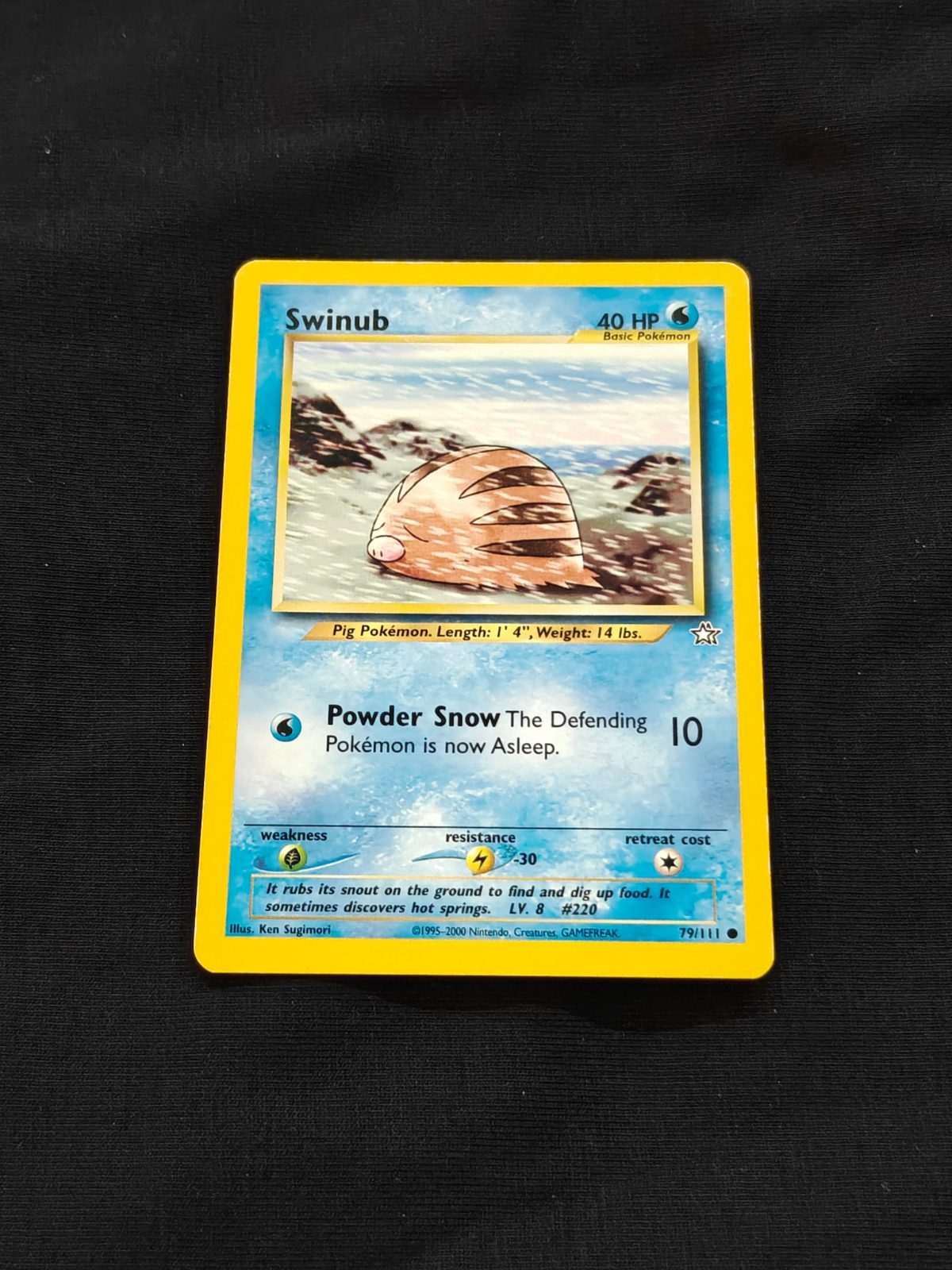 Swinub