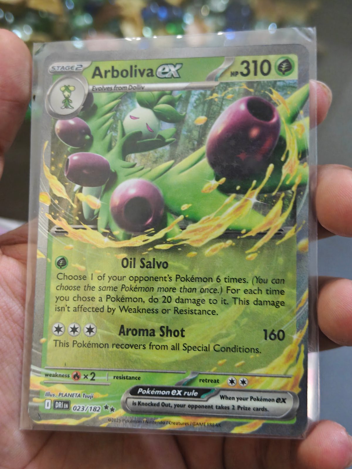 Arboliva ex